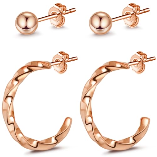 Ohrringe Rosegold Creolen, Hypoallergen Ohrringe Damen Rosegold, Wasserfeste Ohrringe Damen 2 Paar Ohrringe für Mehrere Ohrlöcher, Ohrringe Set Rosegold Creolen Damen Geschenke für Frauen Valentinstag Ohrringe Rosegold Creolen, Hypoallergen Ohrringe Damen Rosegold, Wasserfeste Ohrringe Damen 2 Paar Ohrringe für Mehrere Ohrlöcher, Ohrringe Set Rosegold Creolen Damen Geschenke für Frauen Valentinstag von Berry Only