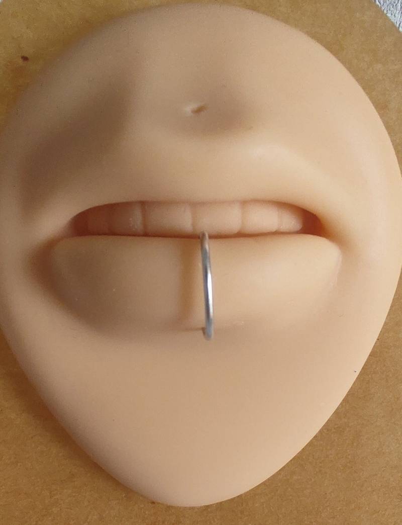 Fake Lippenring, Verschiedene Farben, Piercing, Schlangenbisse, Schlangenbiss, Lippenpiercing Fake Lippenring, Verschiedene Farben, Piercing, Schlangenbisse, Schlangenbiss, Lippenpiercing von BessiesBodyJewellery