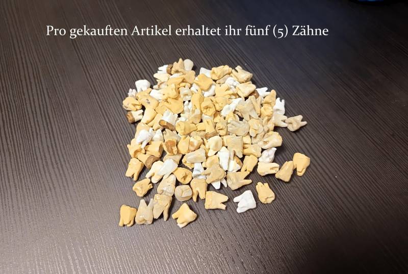 Larp Requisite - Zähne | 5Er Set von BestinSlotLARP