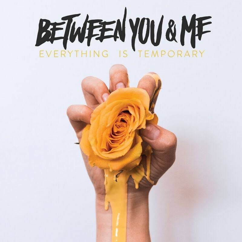 Between You & Me Everything is temporary LP multicolor von Between You & Me