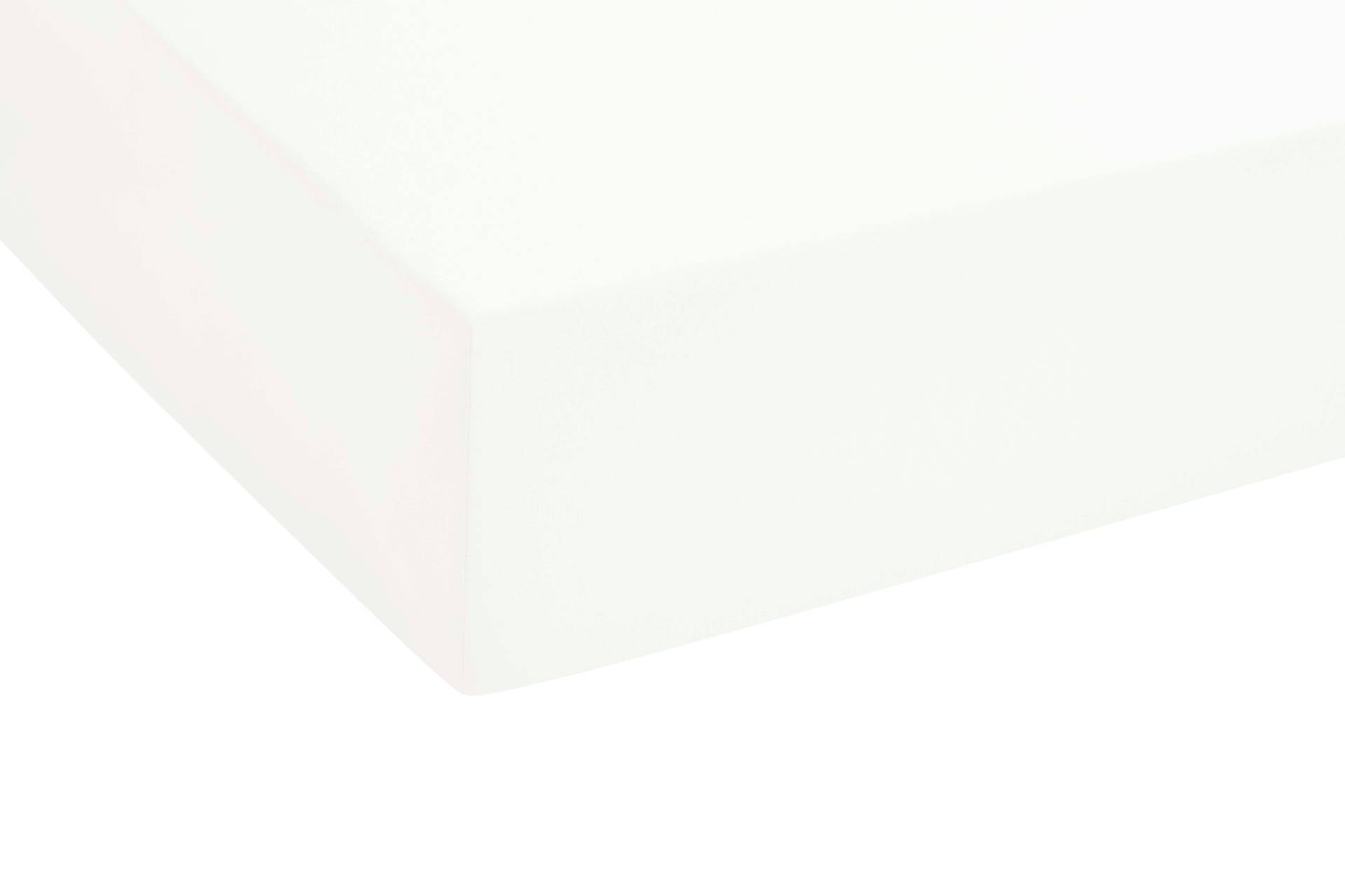 Biberna Spannbettlaken "Tobias" aus Jersey mit Rundumgummizug und kochfest von Biberna