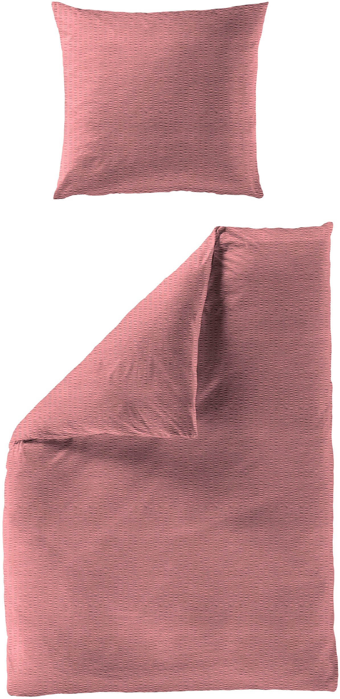 BIERBAUM Bettwäsche "Chic Uni" 2 Stk. tlg. Schickes Unidesign: Modern und elegant für jedes Schlafzimmer von Bierbaum