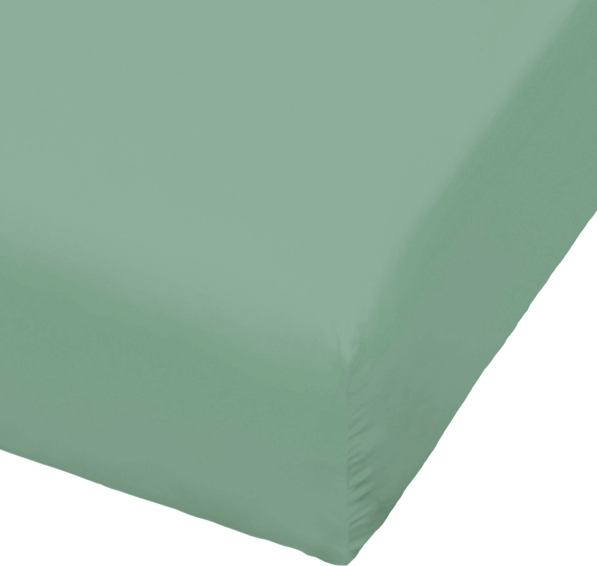 BIERBAUM Spannbettlaken "Jersey", 95 % Baumwolle und 5 % Elasthan für optimale Weichheit und Dehnbarkeit BIERBAUM Spannbettlaken "Jersey", 95 % Baumwolle und 5 % Elasthan für optimale Weichheit und Dehnbarkeit von Bierbaum