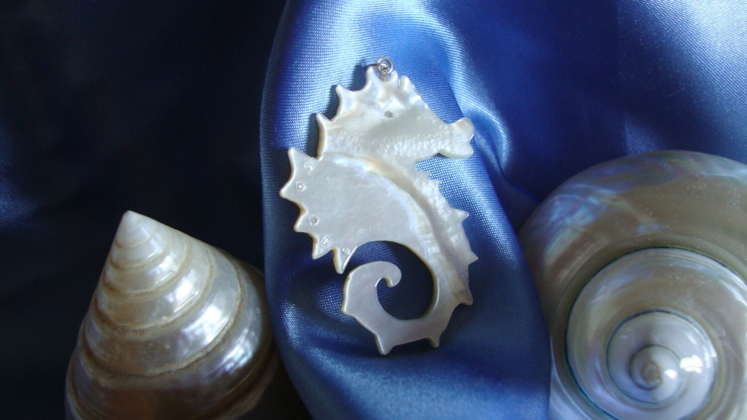 Aus "Neptuns Welt" - Seepferdchen Aus "Neptuns Welt" - Seepferdchen von BifurPerlmuttGallery