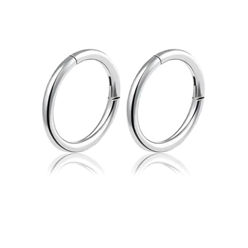 2 Stück Kleine Creolen Silber,Silber Creolen Klein,Ohrringe creolen Silber Klein,Silberohrringe Mini Leichte,Hoop Earrings Edelstahl Silver,Piercings Ohrstecker,Klappcreolen,Lippenring,Nase Ringe von BinXiaoQin