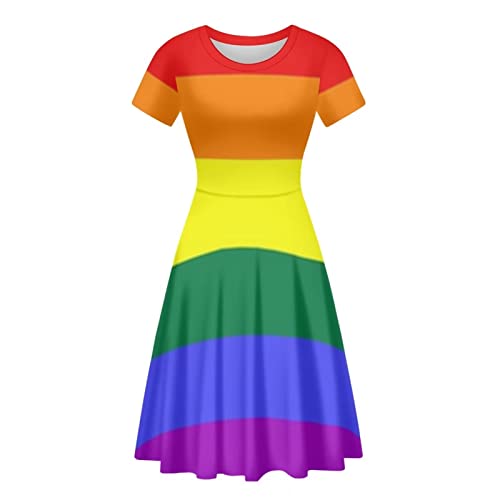 Binienty Damen Sommer Casual Lose Rundhals Kleid Rüschen Puffy Langarm Hohe Taille Midi Kleid, LGBT Rainbow, Medium von Binienty