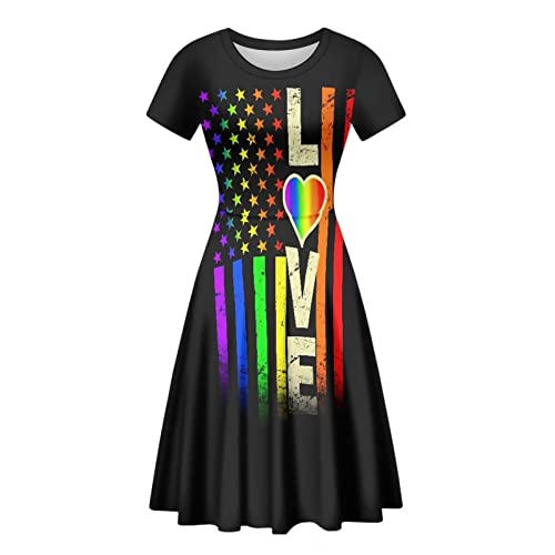 Binienty Damen Sommer Casual Lose Rundhals Kleid Rüschen Puffy Langarm Hohe Taille Midi Kleid, Lgbt Love, XXXXL von Binienty