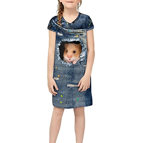 Binienty Niedliche Mädchen Kurzarm Rock T-Shirt Kleider V-Ausschnitt Grafikdruck für 4-14 Jahre alt, 3D-Hamster, 14 Jahre von Binienty