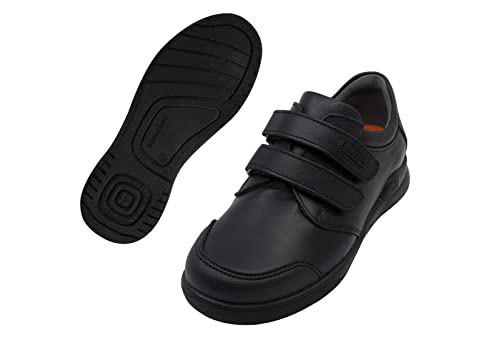 Biomecanics COLEGIAL Benjamin von Biomecanics