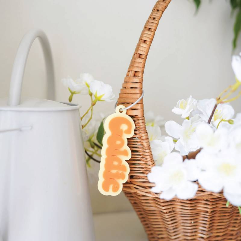 Acryl Beutel Anhänger, Lunchbox Rucksack Kinder Retro Namen Tag, 3D Schlüsselbund, Windel Anhänger von BirchBarAndCo