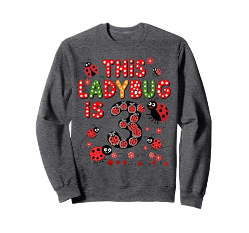 Dieser Marienkäfer ist 3 Jahre alt, zum 3. Geburtstag, Mädchen, Familie Sweatshirt Dieser Marienkäfer ist 3 Jahre alt, zum 3. Geburtstag, Mädchen, Familie Sweatshirt von Birthday LadyBug