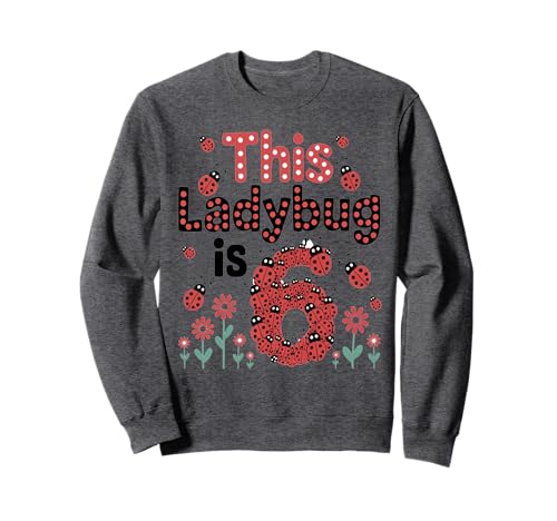 Dieser Marienkäfer ist 6 Jahre alt, 6. Geburtstag, Mädchen, Familie Sweatshirt Dieser Marienkäfer ist 6 Jahre alt, 6. Geburtstag, Mädchen, Familie Sweatshirt von Birthday LadyBug