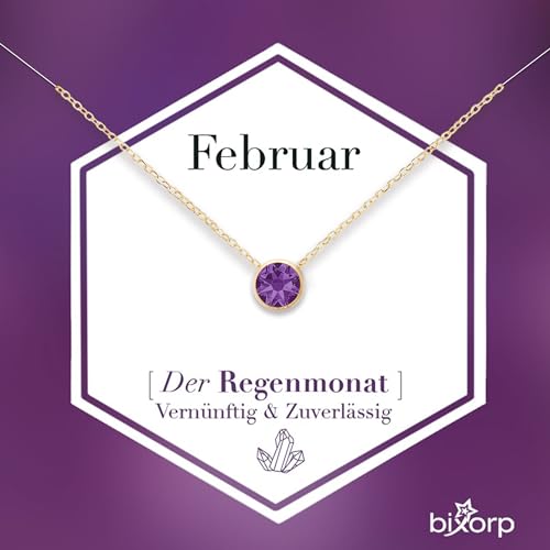 Bixorp Geburtsstein Halskette mit Zirkonia-Anhänger Februar - Edelstahlkette mit rundem Zirkonia-Kristall - Februar/Amethyst - Gold von Bixorp