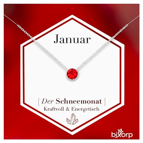 Bixorp Geburtsstein Halskette mit Zirkonia-Anhänger Januar - Edelstahlkette mit rundem Zirkonia-Kristall - Januar/Granat - Silber von Bixorp