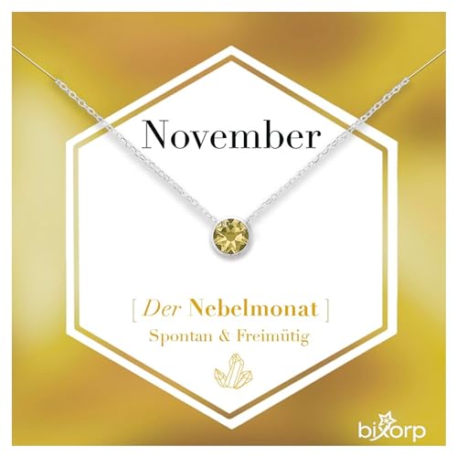 Bixorp Geburtsstein Halskette mit Zirkonia-Anhänger November - Edelstahlkette mit rundem Zirkonia-Kristall - November/Citrin - Silber von Bixorp