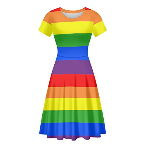 Biyejit 3D-Druck-Kleider für Damen, kurzärmelig, lässig, fließend, Swing-Kleider, Party-Flare-Kleid, Regenbogen-Flaggen-Stolz, XX-Large von Biyejit