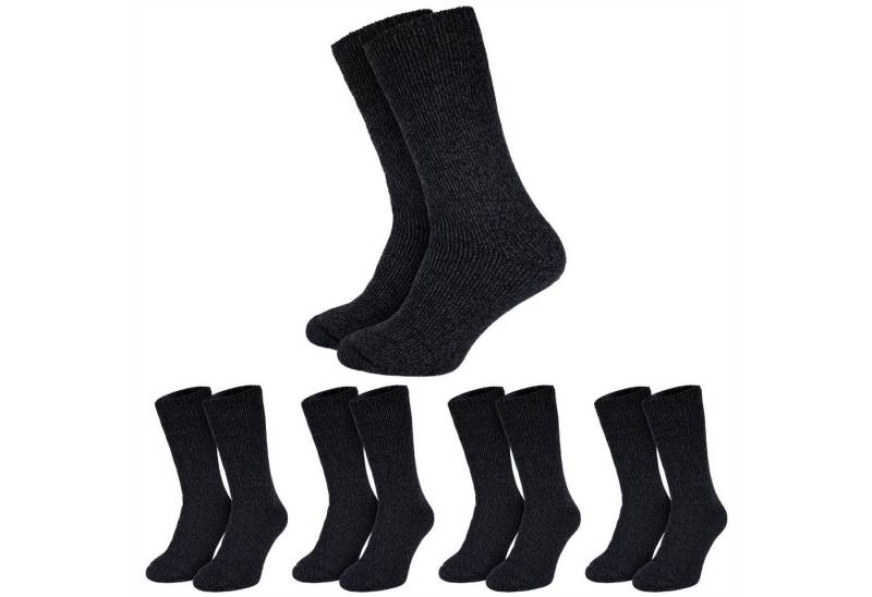 Black Snake Thermosocken 4 Paar Kuschelsocken Damen Herren warm weich Bettsocken Winter Komfort Innen flauschig gefüttert hoher Tragekomfort von Black Snake