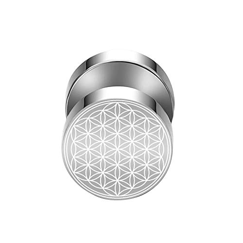 BlackAmazement 316L Edelstahl Fake Plug Ohrstecker Blume des Lebens Ornament 10mm schwarz Rose Gold blau Regenbogen Silber Herren Damen (Silber) von BlackAmazement