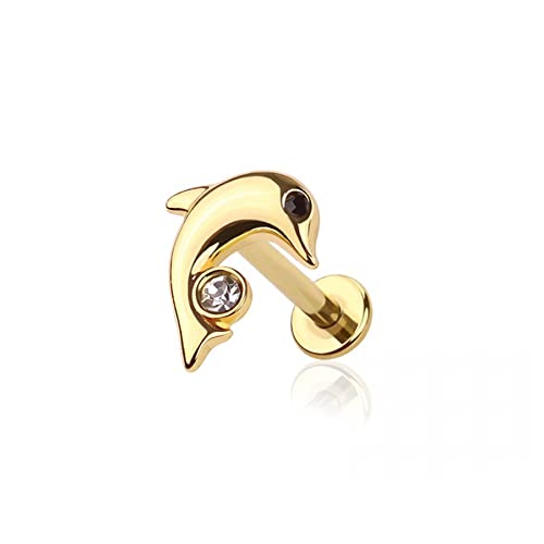 BlackAmazement 316L Edelstahl Labret Ohrstecker Tragus Helix Monroe Piercing Delfin Delphin CZ Zirkonia klar Gold Silber 6mm 8mm Damen (Farbe Gold - Stablänge 8mm) von BlackAmazement