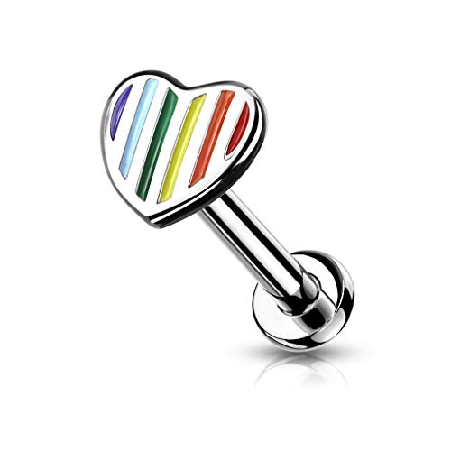 BlackAmazement 316L Edelstahl Piercing Labret Monroe Cartilage Tragus Helix Ohrstecker Herz Regenbogen Streifen Heart Rainbow Stripes Silber Mehrfarbig Damen (Stablänge 6 mm) von BlackAmazement