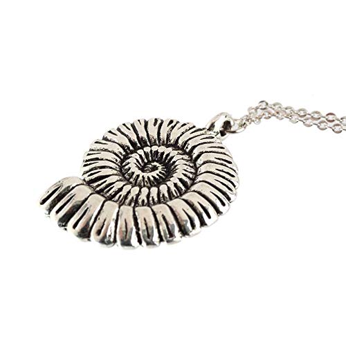 BlackAmazement Halskette mit Anhänger Ammonit Schnecke Muschel Silber Damen Herren von BlackAmazement