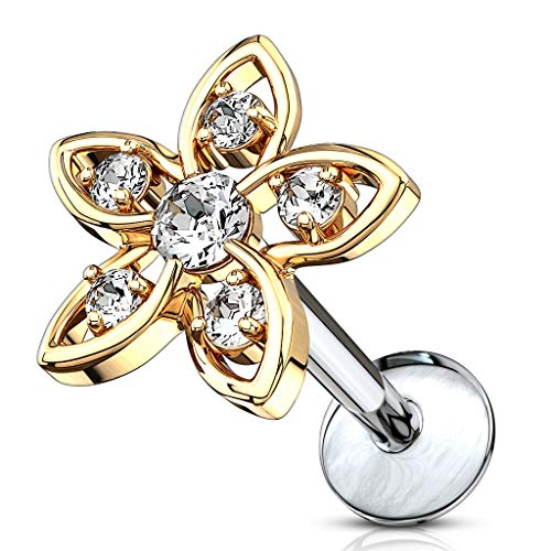 BlackAmazement Tragus Piercing Helix Labret Monroe Stud Ohr Blume Flower Glitzer Zirkonia CZ Gold Silber klar pink Damen (Farbe Gold/Klar -Stablänge 6 mm) von BlackAmazement