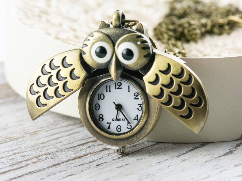 Geflügelte Eule Bronze Taschenuhr Lange Halskette/Einzigartige Uhren Natur Inspirierter Schmuck Geflügelte Eule Bronze Taschenuhr Lange Halskette/Einzigartige Uhren Natur Inspirierter Schmuck von BlackBrookShop