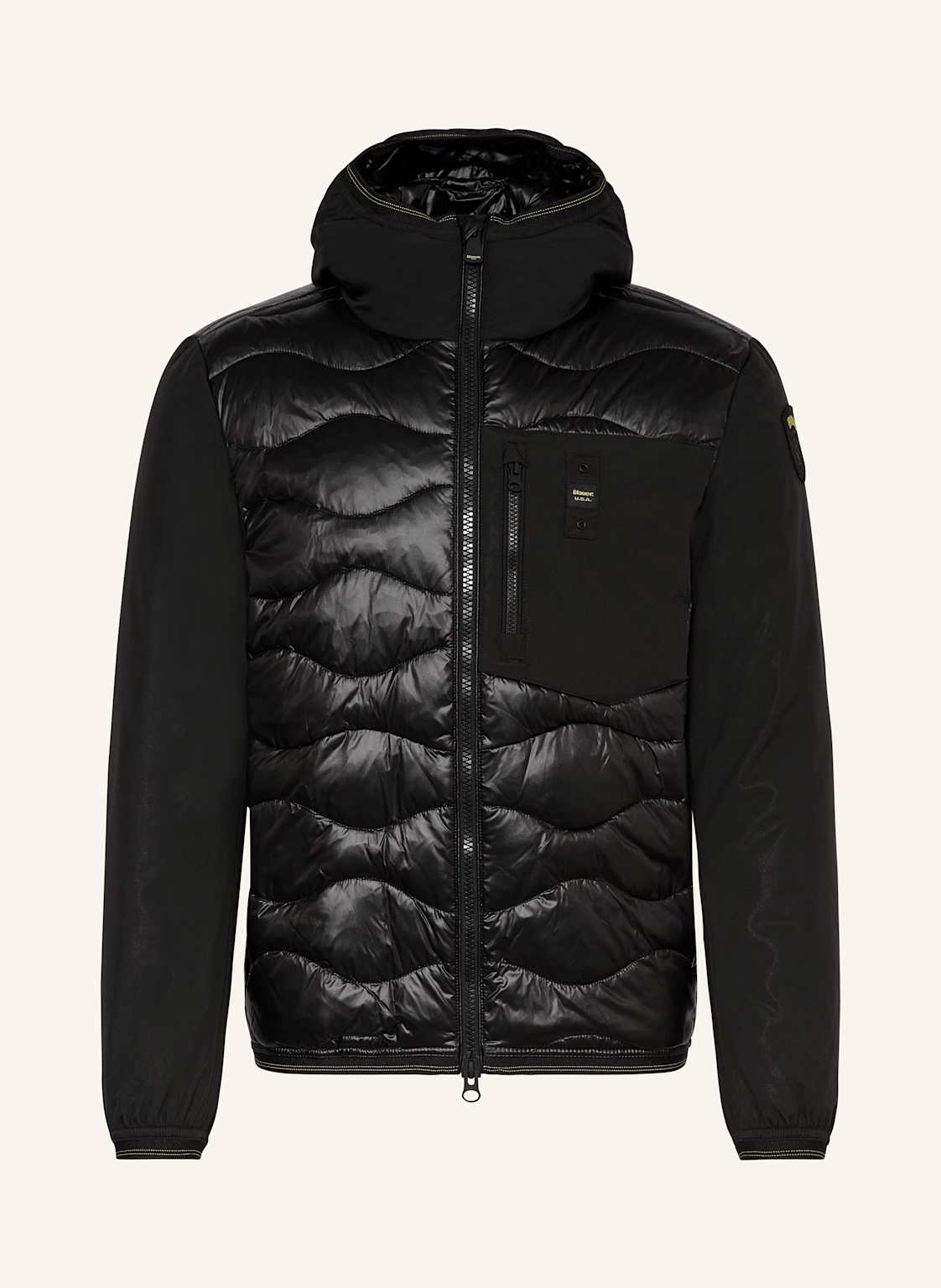 Blauer Steppjacke Albert schwarz Blauer Steppjacke Albert schwarz von Blauer