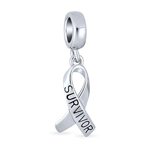 Bling Jewelry Band Und Wort: Brustkrebs Überlebende Hoffnung Anhänger Perlen .925 Sterlingsilber Passt Auf Europäisches Armband Symbolischer Hoffnungsschmuck Für Frauen von Bling Jewelry