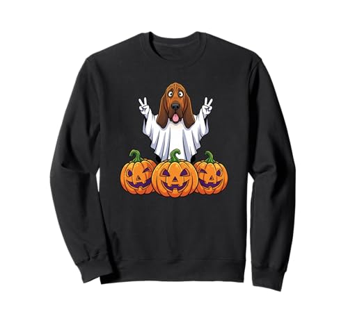 Bloodhound Hund Geist Kürbis Boo Halloween Kinder Herren Damen Sweatshirt Bloodhound Hund Geist Kürbis Boo Halloween Kinder Herren Damen Sweatshirt von Bloodhound Lovers Halloween Ghost Pumpkin Outfits