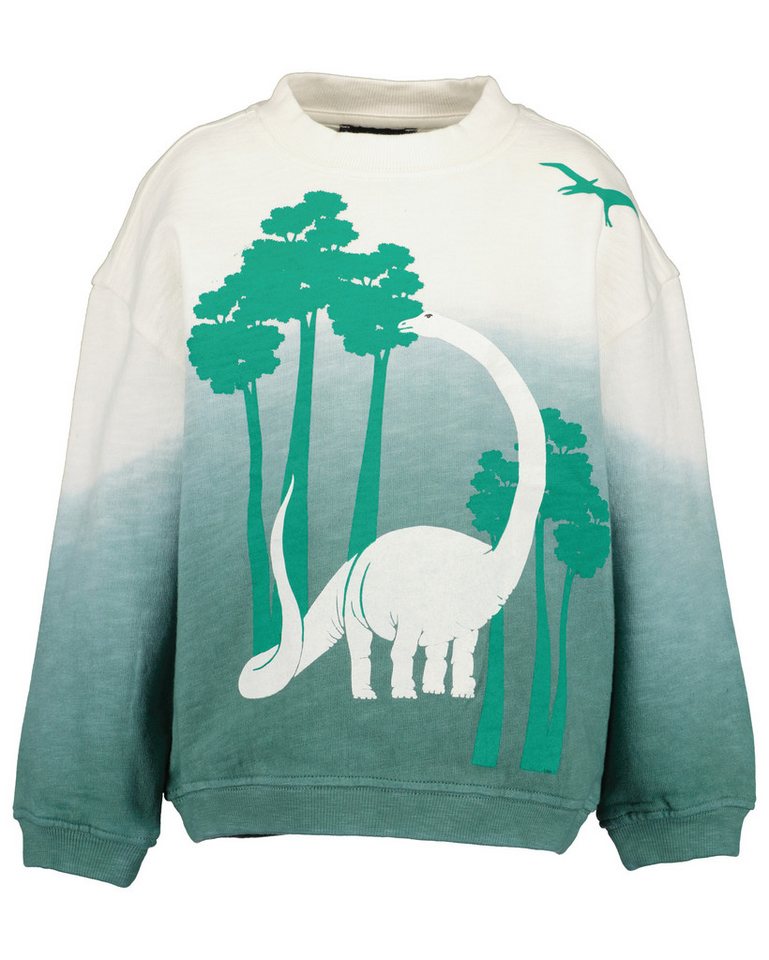 Blue Seven Sweater Blue Seven Sweatshirt von Blue Seven