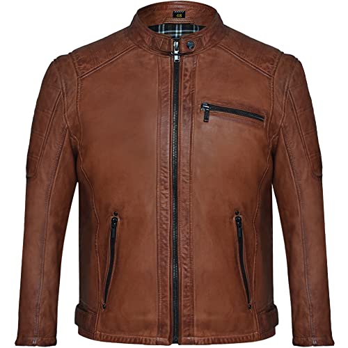 Blueorn LIAM Herren Lederjacke im Bikerstil - Bikerjacke Übergangsjacke Vintage Jacke mit Stehkragen aus Lamm Nappa echt Leder in Braun (as3, alpha, l, regular, regular, Cognac, L) von Blueorn