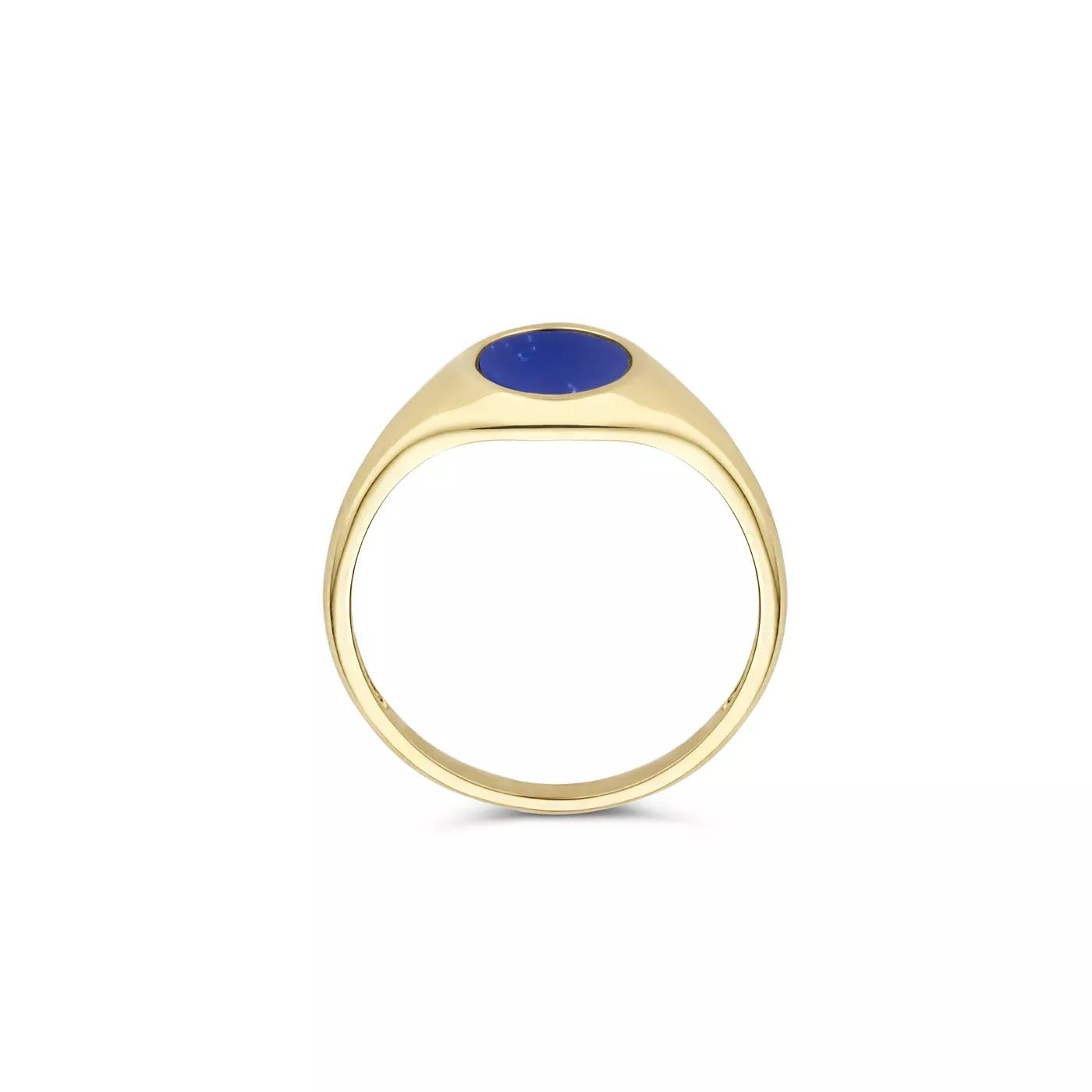 Blush Ring - Blush 585er Golden Siegelring 1214YLA/52 - Gr. 52 - in Hellblau - für Damen von Blush