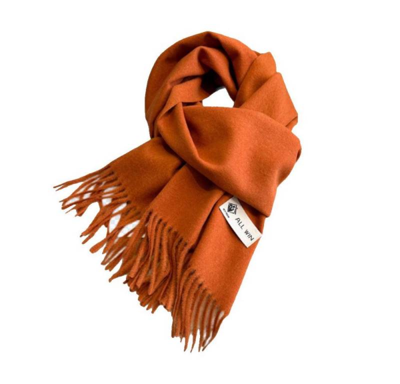 Blusmart Halstuch Schal Damen Warm Herbst Winter unifarben Baumwolle mit quasten, (Dick und weich, Einfarbige Schals und Tücher), Für abendkleid xl Stola Scarf Winterschal von Blusmart