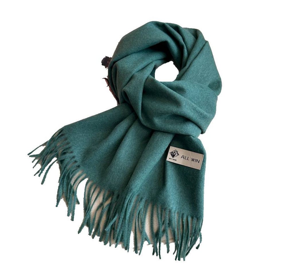 Blusmart Halstuch Schal Damen Warm Herbst Winter unifarben Baumwolle mit quasten, (Dick und weich, Einfarbige Schals und Tücher), Für abendkleid xl Stola Scarf Winterschal von Blusmart