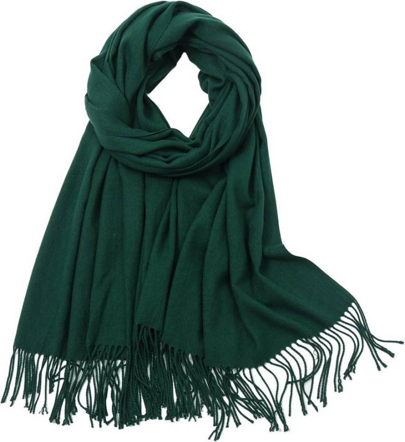 Blusmart Modeschal Superweicher Schal für Damen, (Angenehm zu tragen,Hochwertiger, einfacher und vielseitiger Schal), Winterschal 200*70CM von Blusmart