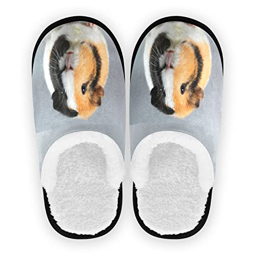 Boccsty Meerschweinchen Spa Hausschuhe Memory Foam Indoor Outdoor Rutschfeste Hausschuhe M für Herren Damen, Multi, 41.5/44.5 EU von Boccsty