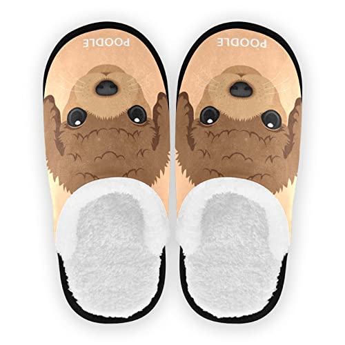 Portrait von Pudel Welpe Braun Hund Gesicht Spa Hausschuhe Haus Hausschuhe Memory Foam Home Shoes M for Men Woman, multi, 37/40 EU von Boccsty