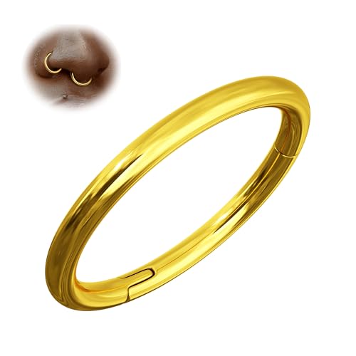 BodyBonita 1 Stück Nahtlose Nasenring aus G23-Titan – Piercing Septum Schmuck für Damen Herren 16G Nasenpiercings Körperpiercing Bequemer Lippen Conch Tragus Helix Rook Gold 10mm BodyBonita 1 Stück Nahtlose Nasenring aus G23-Titan – Piercing Septum Schmuck für Damen Herren 16G Nasenpiercings Körperpiercing Bequemer Lippen Conch Tragus Helix Rook Gold 10mm von BodyBonita