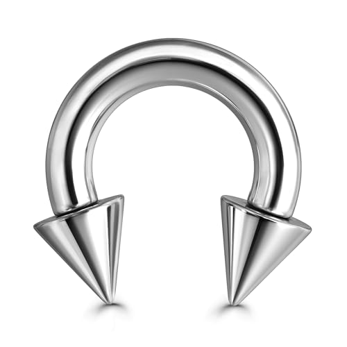 BodyBonita G23 Titan Septum Piercing 8G - Hufeisenstacheln Nasenpiercing Schmuck ASTM F136 Titan Ohrringe für Frauen Männer Silber 10mm von BodyBonita