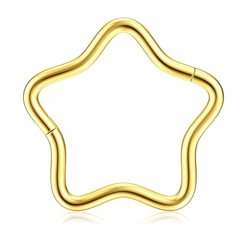 BodyBonita Septum Piercing 16G – 316L Edelstahl Nasenpiercing Nasenring Reifen für Damen Herren Helix Conch Piercings Tragus Daith Knorpel Piercing Gold 8 mm Star BodyBonita Septum Piercing 16G – 316L Edelstahl Nasenpiercing Nasenring Reifen für Damen Herren Helix Conch Piercings Tragus Daith Knorpel Piercing Gold 8 mm Star von BodyBonita