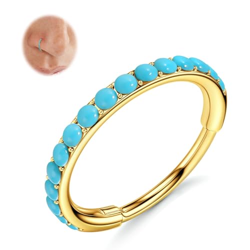 BodyBonita Türkis Nasenpiercing Ring – 316L Chirurgenstahl 20G Nasenring Hoop Septum Piercing Segment Knorpel Helix Rook Tragus Conch Daith Ohrringe Lippe Schmuck für Damen 8mm Gold von BodyBonita
