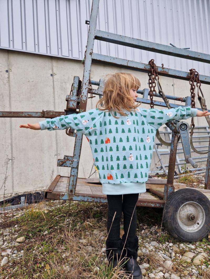 Raglansweater, Raglanshirt, Oberteil, Tannenbaum, Winter, Schwedenhaus, Sommersweat von Boedabutik