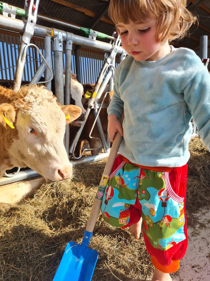 Sommerhose, Pumphose, Kurze Hose von Boedabutik