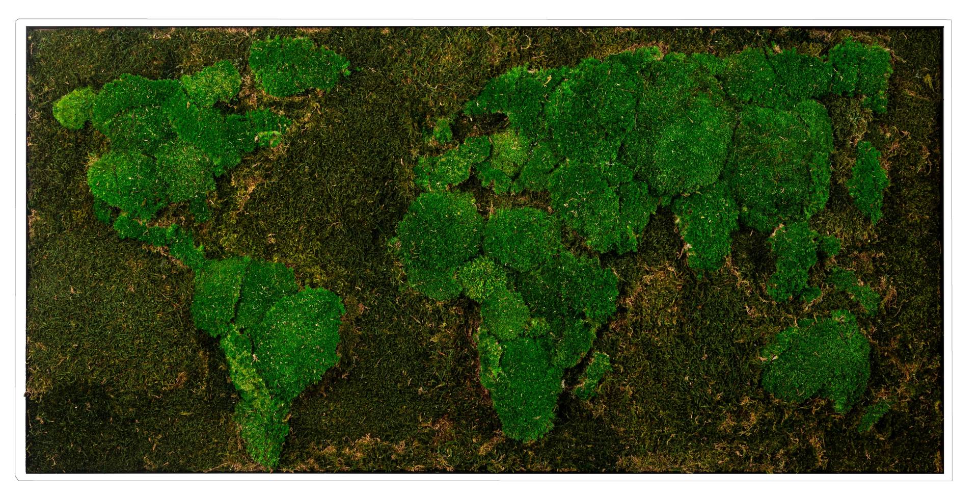 Bönninghoff Bild mit Rahmen "Moos" 1 Stk. tlg. jedes Bild ein Unikat, BxH: 120x60 cm von Bönninghoff