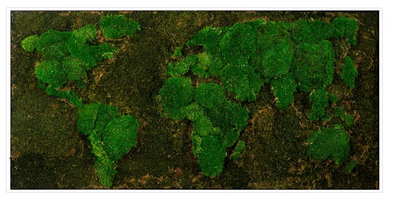 Bönninghoff Bild mit Rahmen "Moos" 1 Stk. tlg. jedes Bild ein Unikat, BxH: 120x60 cm von Bönninghoff