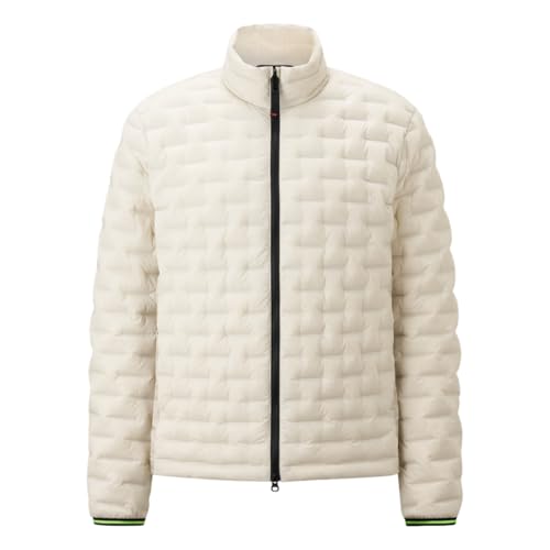 Bogner Fire + Ice Gray 2-D - Herren Leichtdaunenjacke, Größe:50, Farbe:silver birch von Bogner