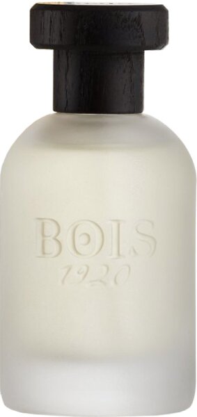 Bois 1920 Classic 1920 Eau de Parfum (EdP) 100 ml von Bois 1920