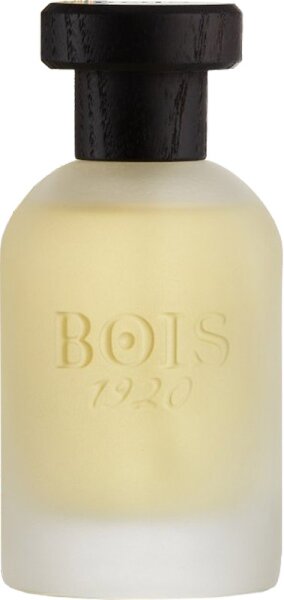 Bois 1920 Real Patchouly Eau de Parfum (EdP) 100 ml von Bois 1920