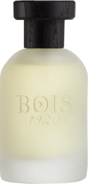 Bois 1920 Vetiver Ambrato Eau de Parfum (EdP) 100 ml von Bois 1920